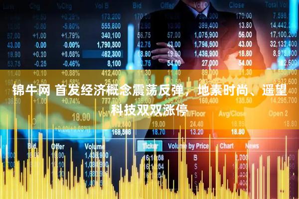 锦牛网 首发经济概念震荡反弹，地素时尚、遥望科技双双涨停