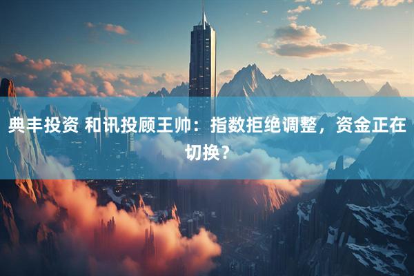 典丰投资 和讯投顾王帅：指数拒绝调整，资金正在切换？