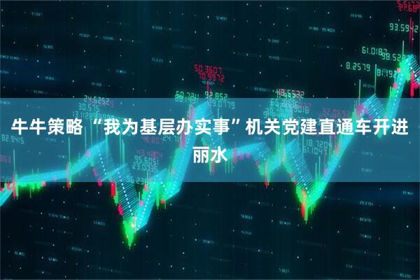 牛牛策略 “我为基层办实事”机关党建直通车开进丽水