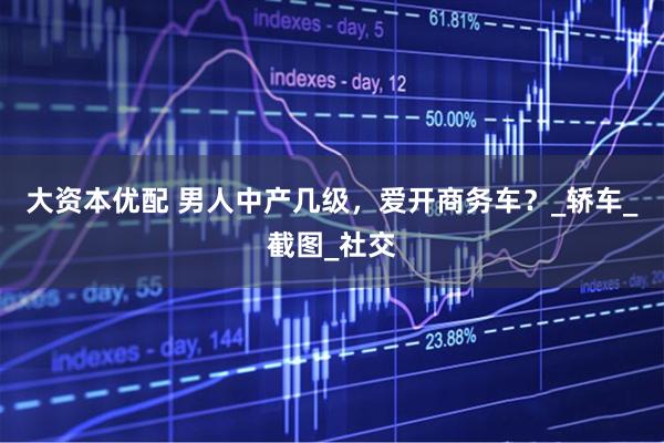 大资本优配 男人中产几级，爱开商务车？_轿车_截图_社交