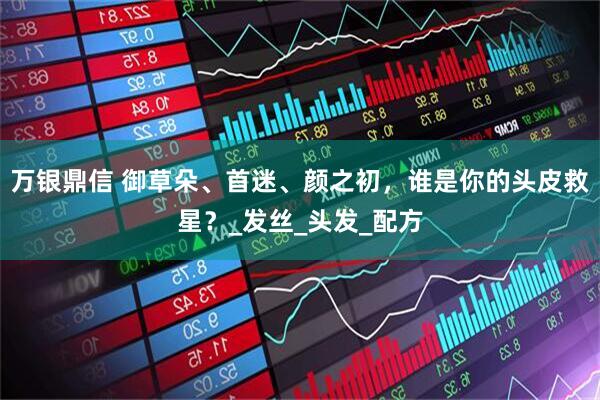 万银鼎信 御草朵、首迷、颜之初，谁是你的头皮救星？_发丝_头发_配方