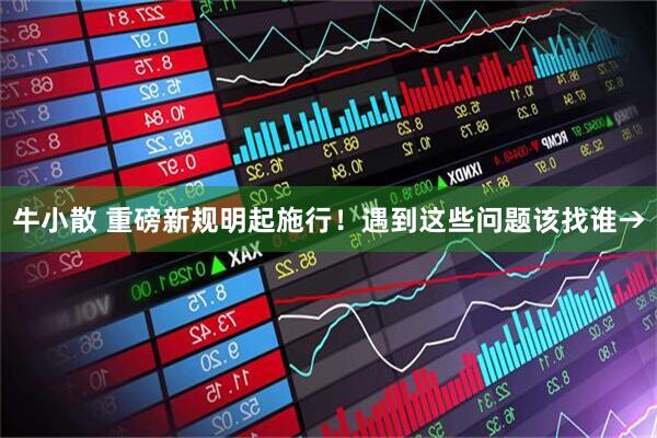 牛小散 重磅新规明起施行！遇到这些问题该找谁→
