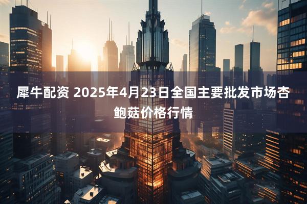 犀牛配资 2025年4月23日全国主要批发市场杏鲍菇价格行情